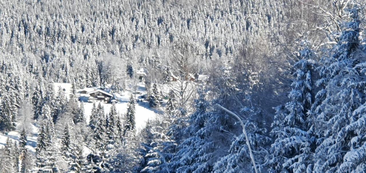 Pension Vinkl Harrachov Exterior foto